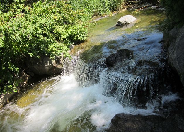 A Stream in Montreal 2